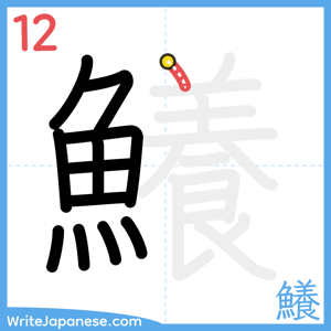 How to write "鱶" - stroke 12