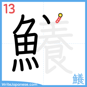 How to write "鱶" - stroke 13