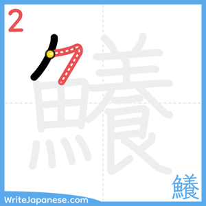 How to write "鱶" - stroke 2