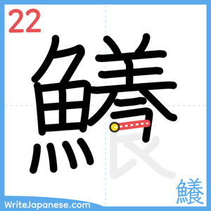 How to write "鱶" - stroke 22