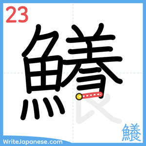 How to write "鱶" - stroke 23