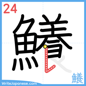 How to write "鱶" - stroke 24