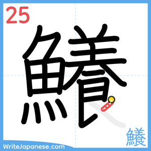 How to write "鱶" - stroke 25