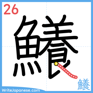 How to write "鱶" - stroke 26