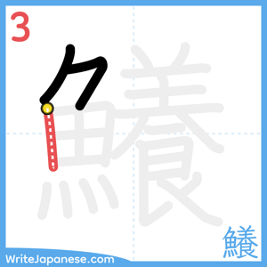 How to write "鱶" - stroke 3