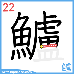 How to write "鱸" - stroke 22
