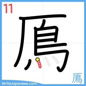 How to write "鳫" - stroke 11