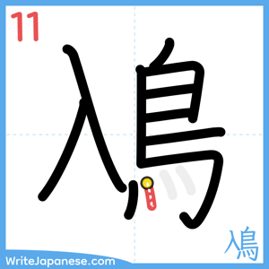 How to write "鳰" - stroke 11
