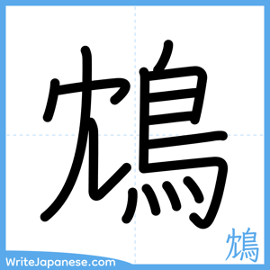How to write "鴆" - complete stroke order