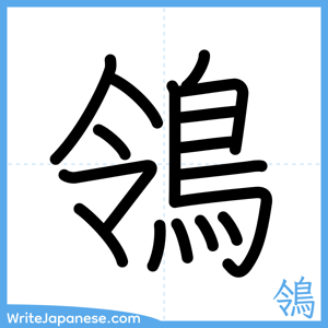 How to write "鴒" - complete stroke order