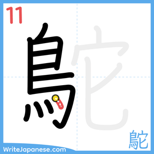 How to write "鴕" - stroke 11