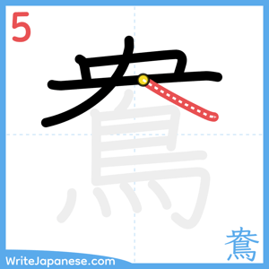 How to write "鴦" - stroke 5