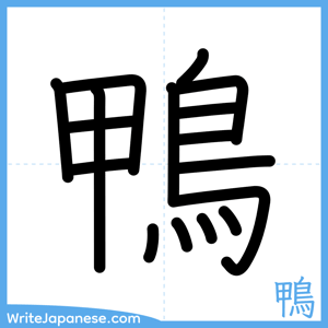 How to write "鴨" - complete stroke order