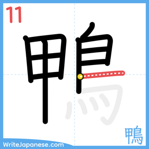 How to write "鴨" - stroke 11