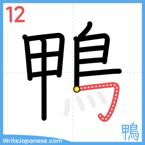 How to write "鴨" - stroke 12