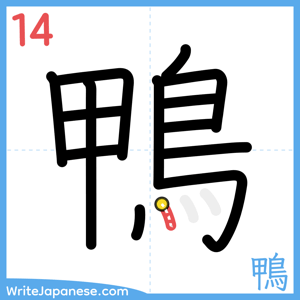 How to write "鴨" - stroke 14