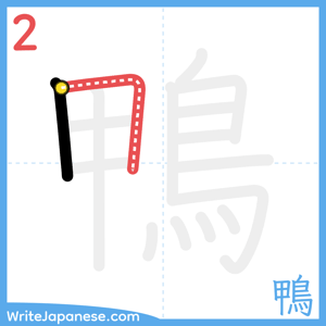 How to write "鴨" - stroke 2