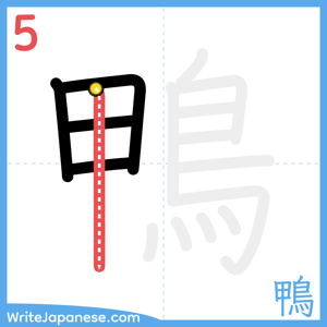 How to write "鴨" - stroke 5