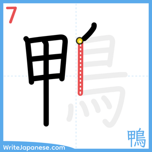 How to write "鴨" - stroke 7
