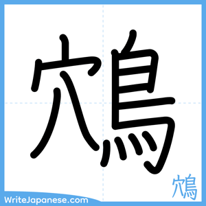 How to write "鴪" - complete stroke order