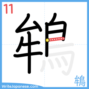 How to write "鴾" - stroke 11