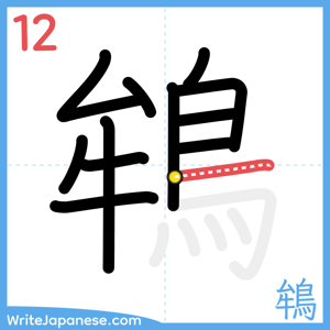 How to write "鴾" - stroke 12