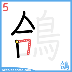 How to write "鴿" - stroke 5