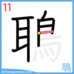 How to write "鵈" - stroke 11