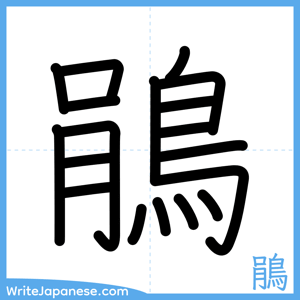 How to write "鵑" - complete stroke order