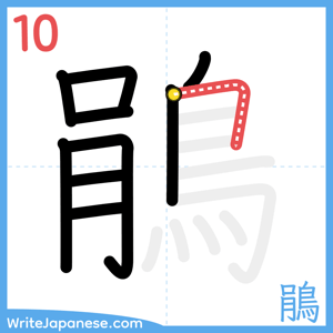 How to write "鵑" - stroke 10