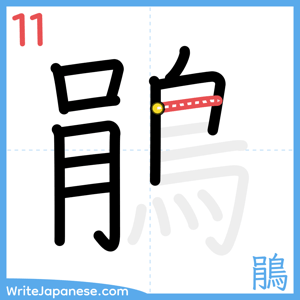 How to write "鵑" - stroke 11