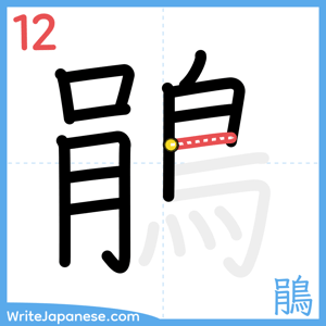 How to write "鵑" - stroke 12