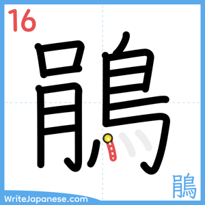 How to write "鵑" - stroke 16
