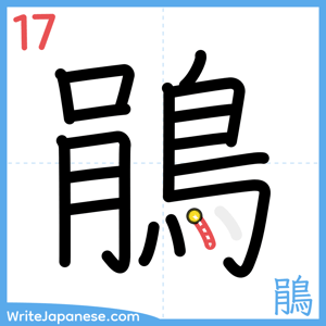 How to write "鵑" - stroke 17