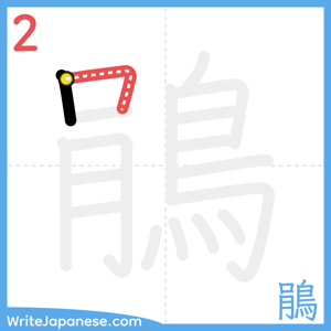 How to write "鵑" - stroke 2