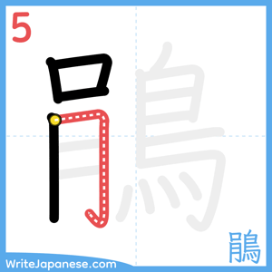 How to write "鵑" - stroke 5
