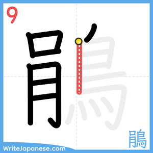 How to write "鵑" - stroke 9