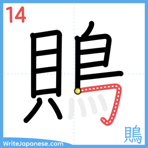 How to write "鵙" - stroke 14