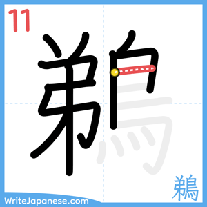How to write "鵜" - stroke 11