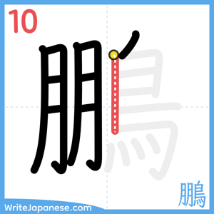 How to write "鵬" - stroke 10