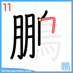 How to write "鵬" - stroke 11