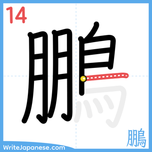 How to write "鵬" - stroke 14