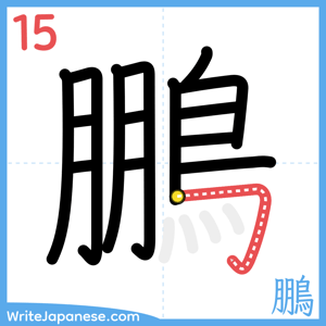 How to write "鵬" - stroke 15