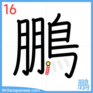 How to write "鵬" - stroke 16