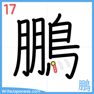 How to write "鵬" - stroke 17