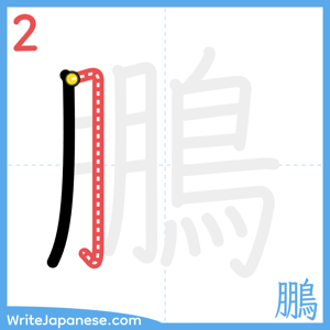 How to write "鵬" - stroke 2