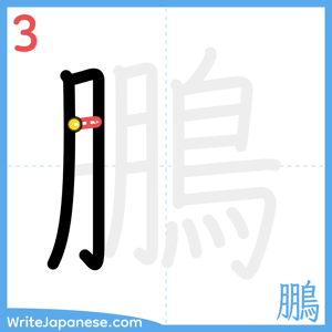 How to write "鵬" - stroke 3