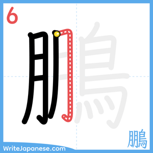 How to write "鵬" - stroke 6