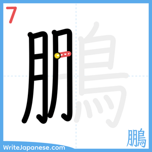 How to write "鵬" - stroke 7