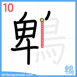 How to write "鵯" - stroke 10